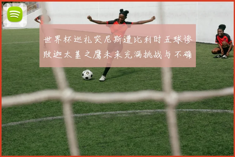 世界杯巡礼突尼斯遭比利时五球惨败迦太基之鹰未来充满挑战与不确定性